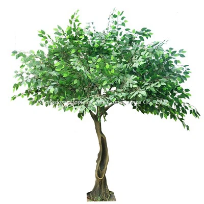 Pohon Faux Ficus