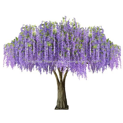 Pohon bunga wisteria sutra besar