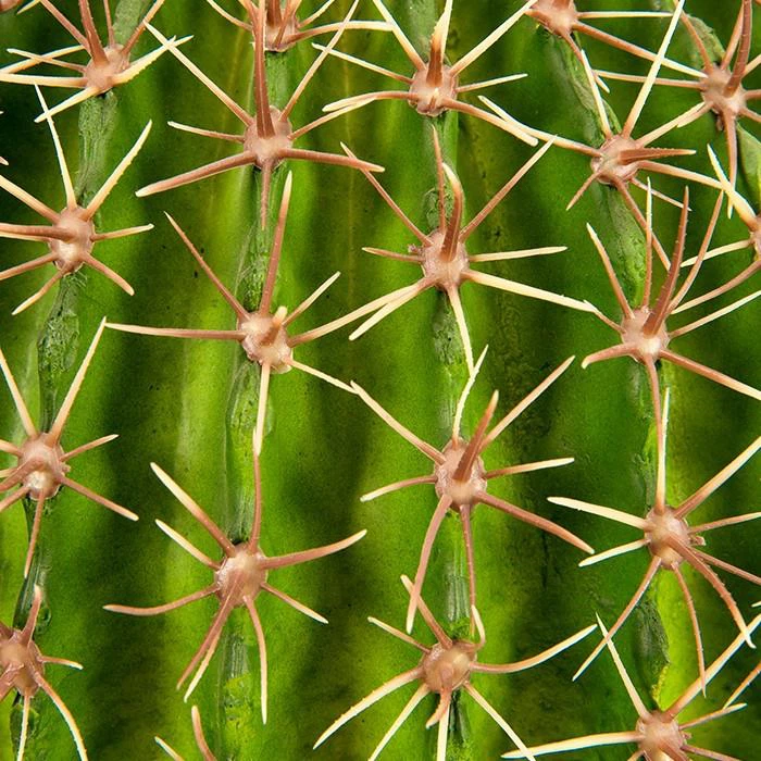 89e5ebb07d0c9cc89507c10dde907dee