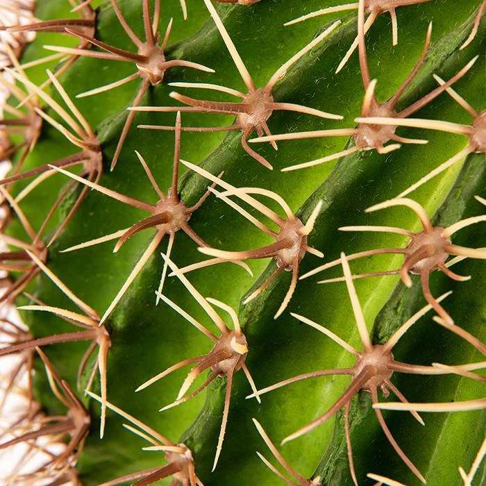 c022573acbf699c2e172fed4823f7120