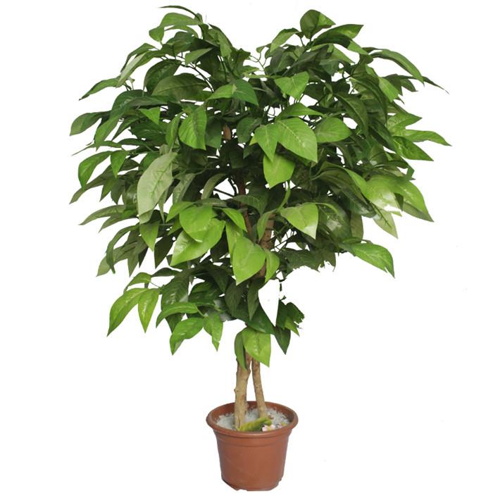 Pohon Pot Buatan dengan Daun Mangga