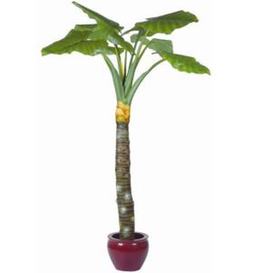 250cm Taro buatan pabrik