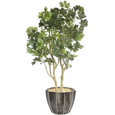 Tanaman Bonsai Pohon Buatan