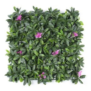 Dinding Rumput Boxwood Hedge