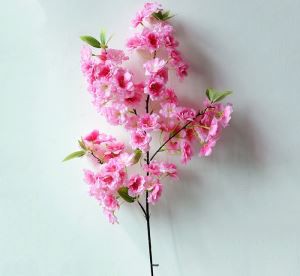 Bunga Ceri Palsu