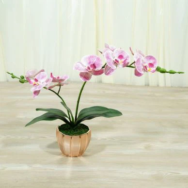 Pengaturan Anggrek Buatan Dengan 2 Garpu