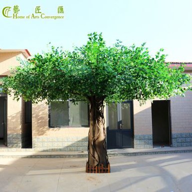 Fake Ficus pohon